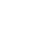 icon petrol